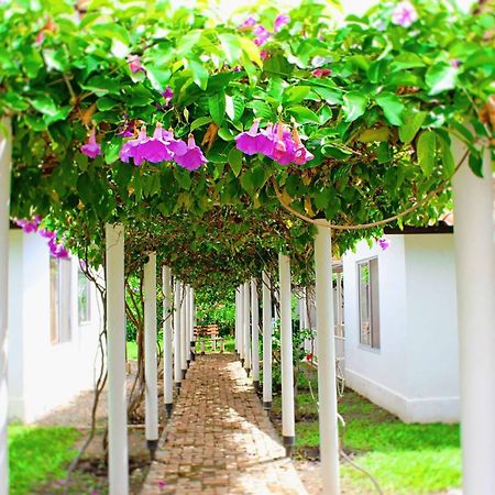 Villa Alejandra ヒラルドット エクステリア 写真