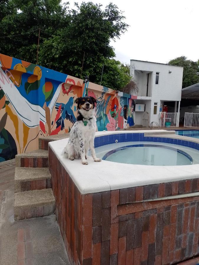 Villa Alejandra ヒラルドット エクステリア 写真